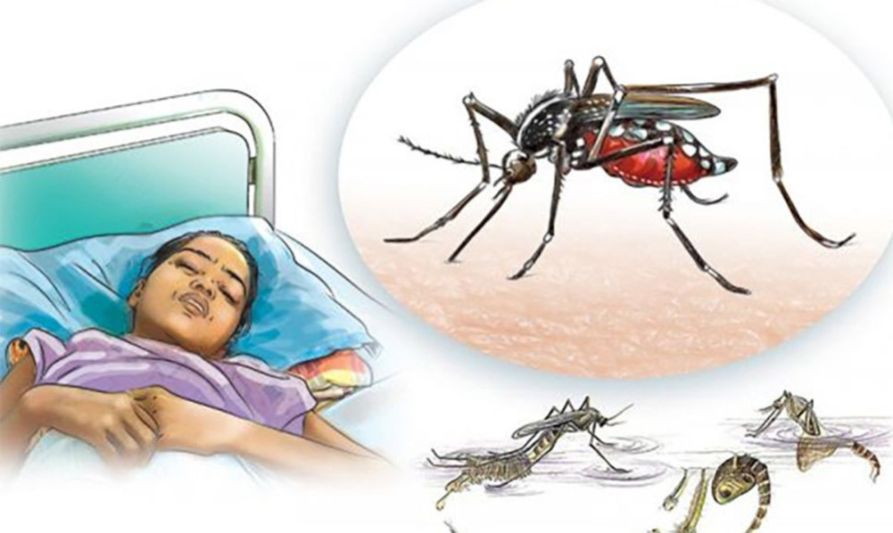 ७२ जिल्लामा फैलियो डेंगी, मुलुकभर १२ सयभन्दा बढी संक्रमित